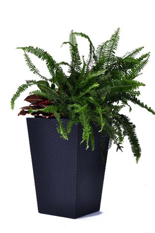 Rattan planter M